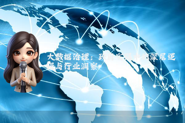大数据治理：政府实践中的深层逻辑与行业洞察
